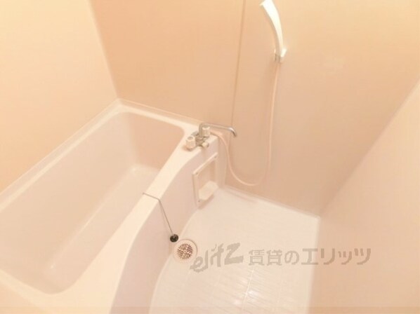 パルコート若園の物件内観写真